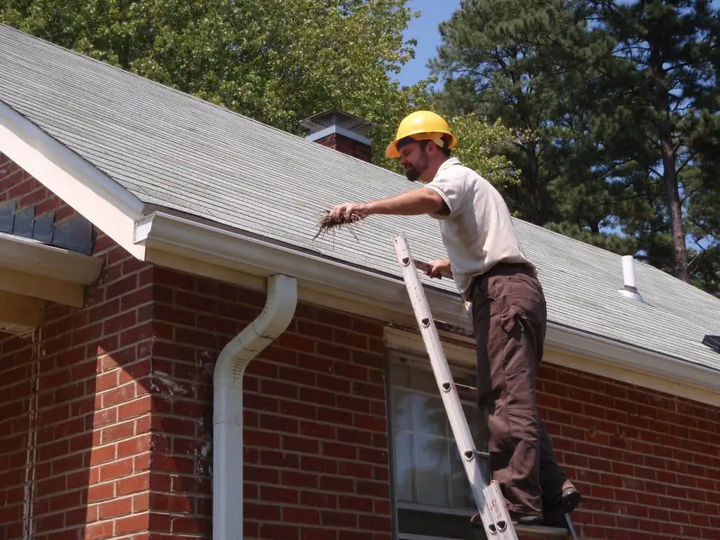 Roof & Gutter Cleaning